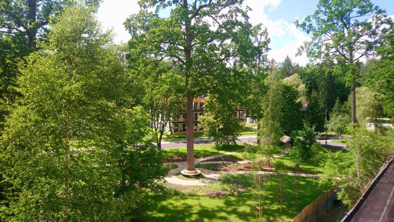 Enklawa Bialowieska Forest & Spa Hajnowka Exterior photo
